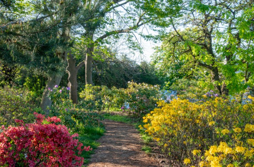Dnipropetrovsk National University Botanic Garden, Ukraine